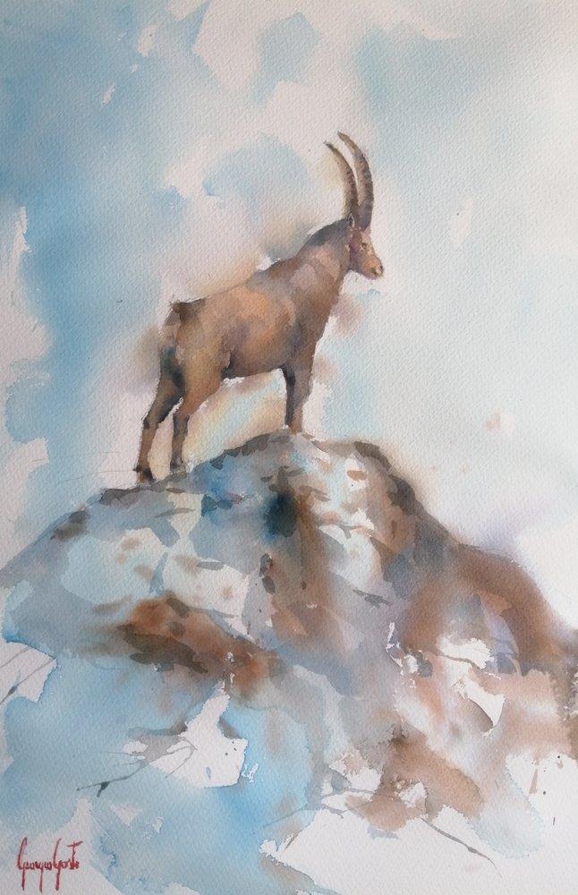 Majestoso íbex alpino de Giorgio Gosti