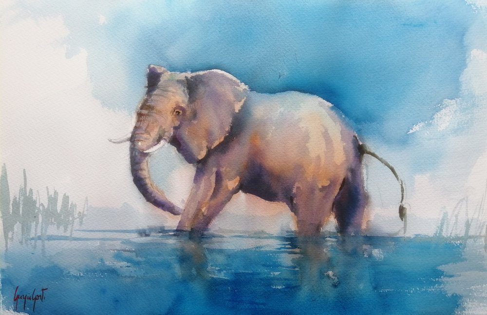 Elefante majestoso a atravessar a água de Giorgio Gosti
