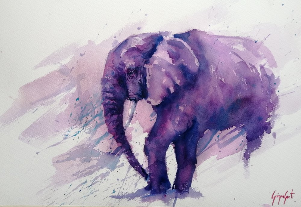 Majestoso Elefante Roxo de Giorgio Gosti