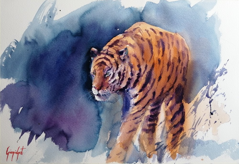 O Passo Majestoso do Tigre de Giorgio Gosti