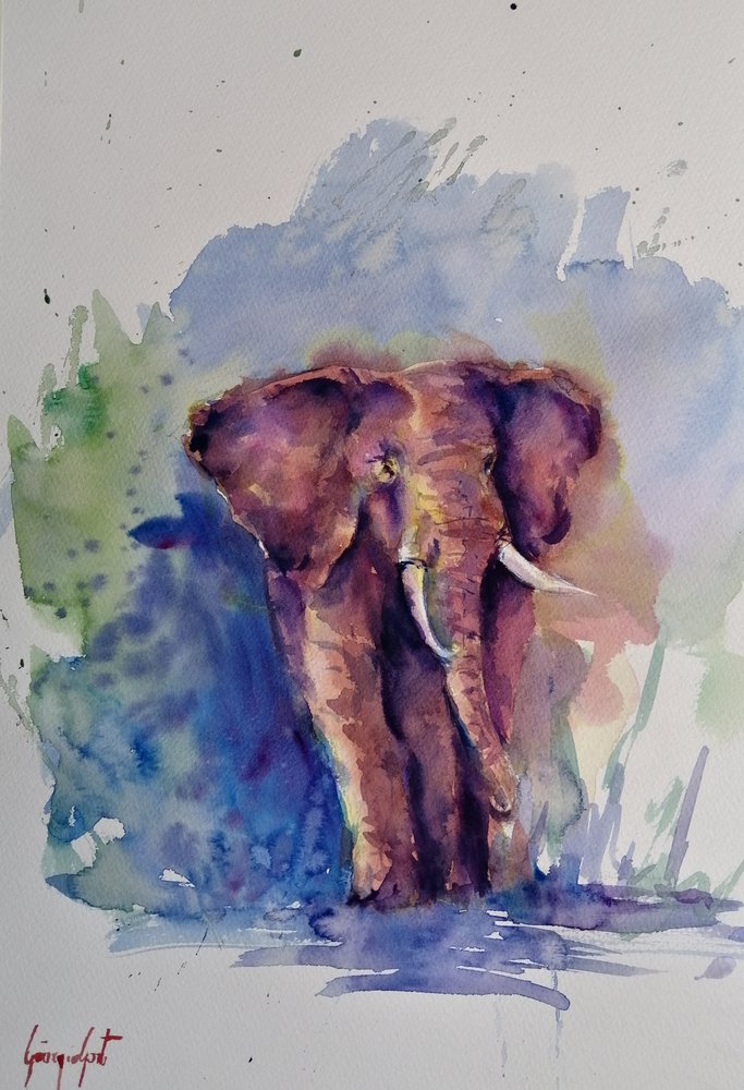 Majestoso elefante em aguarela de Giorgio Gosti