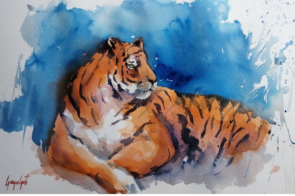 Tigre majestuoso em aguarela de Giorgio Gosti