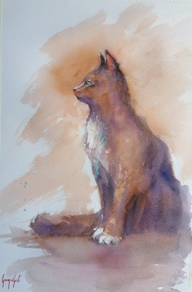 Perfil do Gato Observador de Giorgio Gosti