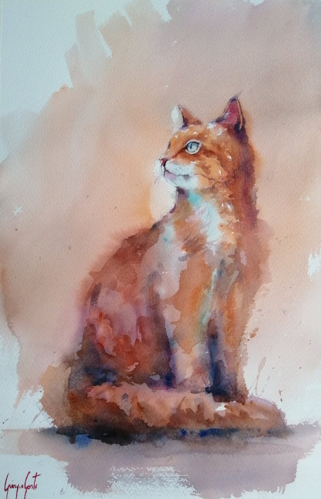 Gato em aquarela laranja de Giorgio Gosti