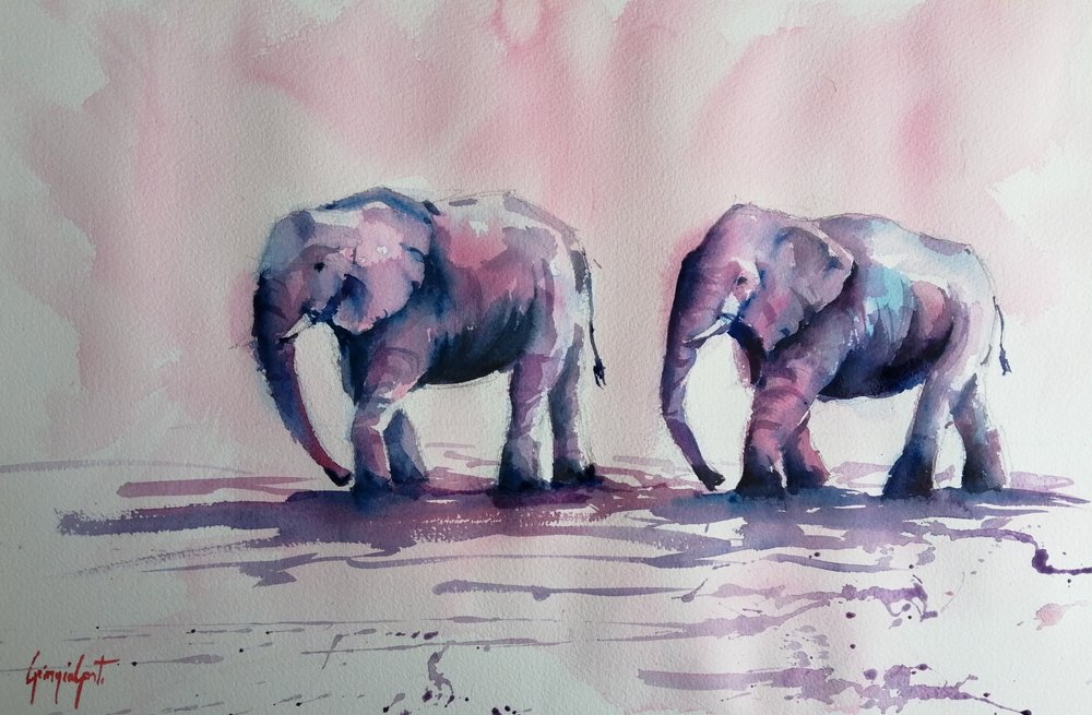 Passeio dos Elefantes Cor-de-rosa de Giorgio Gosti