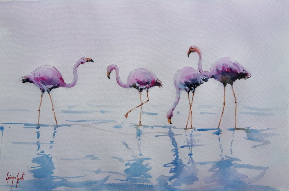 Flamingos-rosados a caminhar na água de Giorgio Gosti