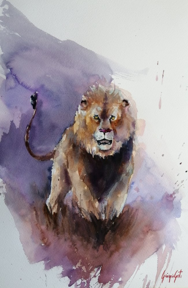 Leão em aquarela impressionante de Giorgio Gosti