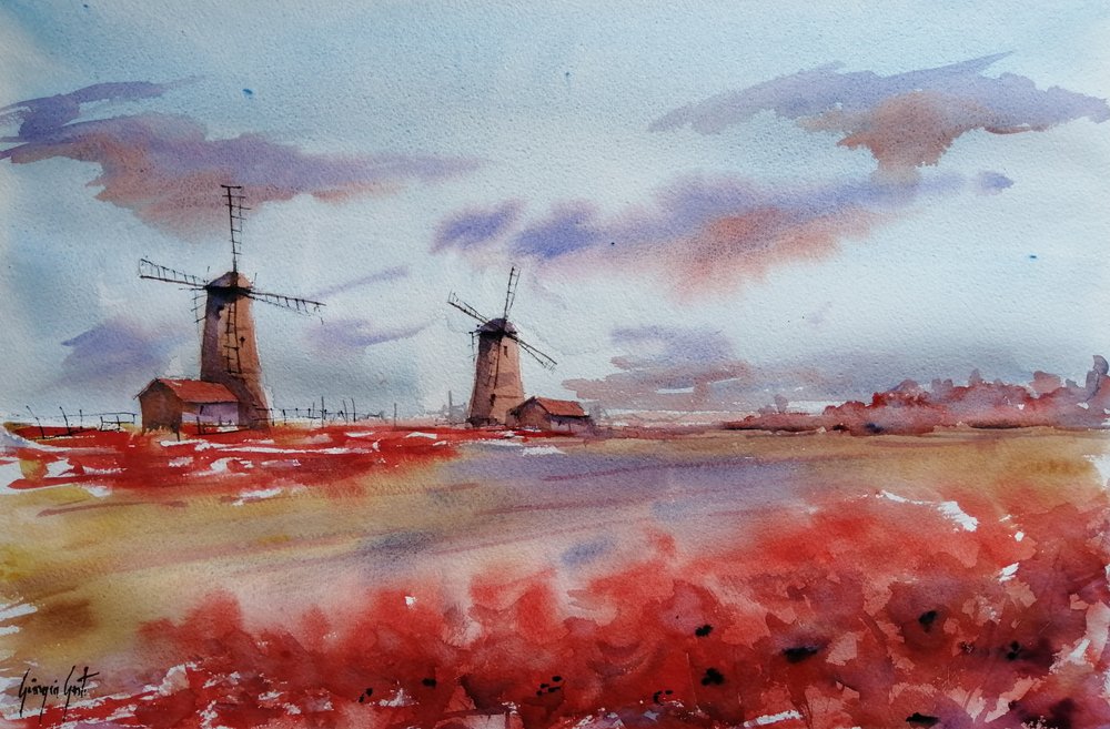 Moinhos de vento da Red Poppy de Giorgio Gosti
