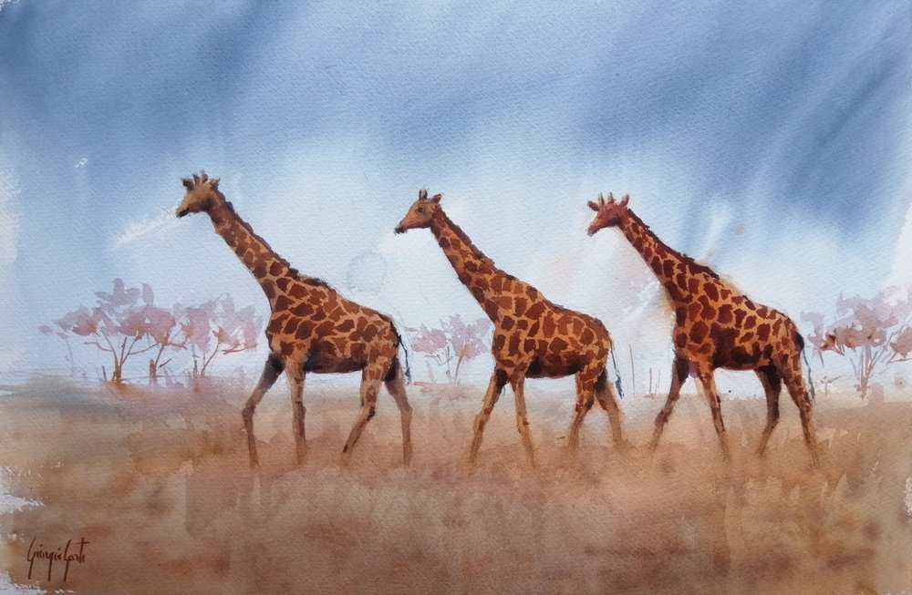 Trio de girafas do Safari de Giorgio Gosti