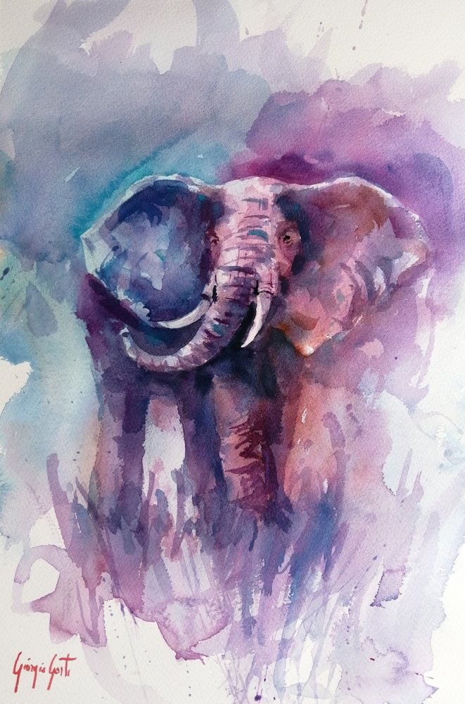 O Sonho do Elefante Vibrante de Giorgio Gosti