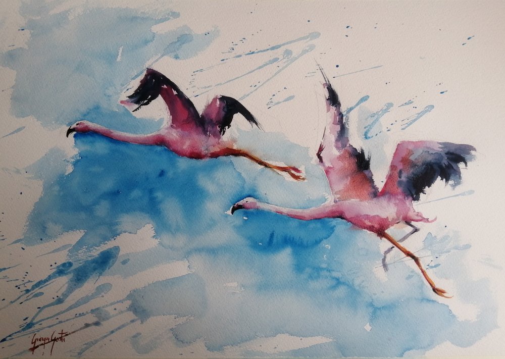 Voo vibrante dos flamingos de Giorgio Gosti