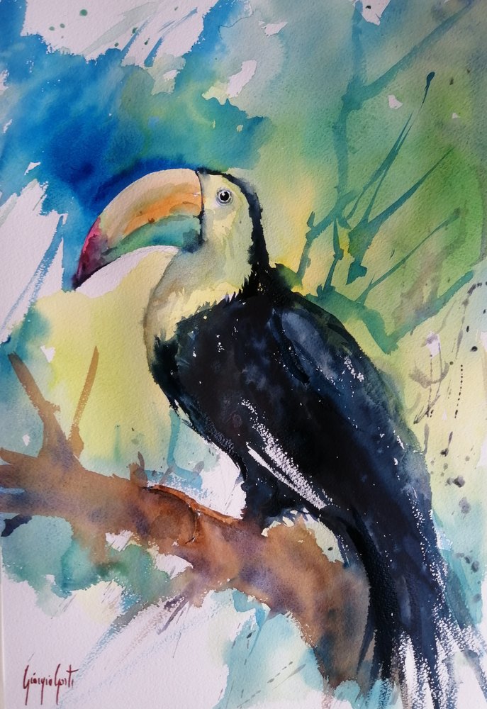 Tucano da selva colorido de Giorgio Gosti