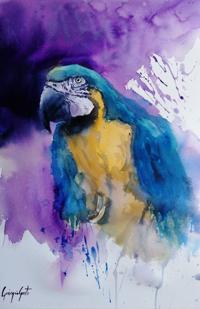 Papagaio em aquarela vibrante de Giorgio Gosti