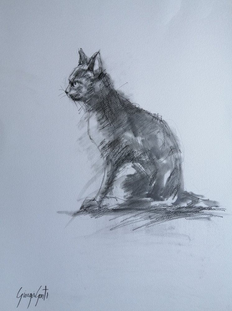 Gato de carvão vigilante de Giorgio Gosti