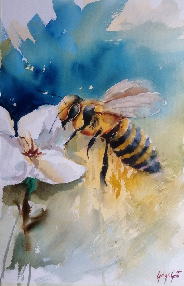 Abelha em flor pintada a aguarela de Giorgio Gosti