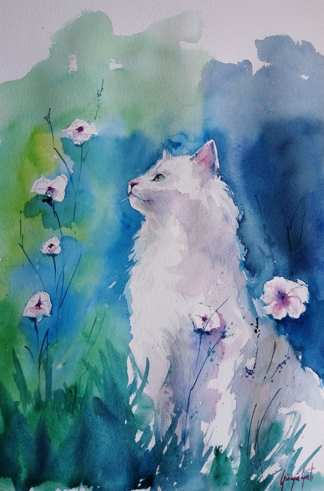 Gato Branco em Flor de Giorgio Gosti