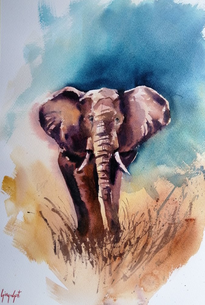 Elefante africano selvagem de Giorgio Gosti