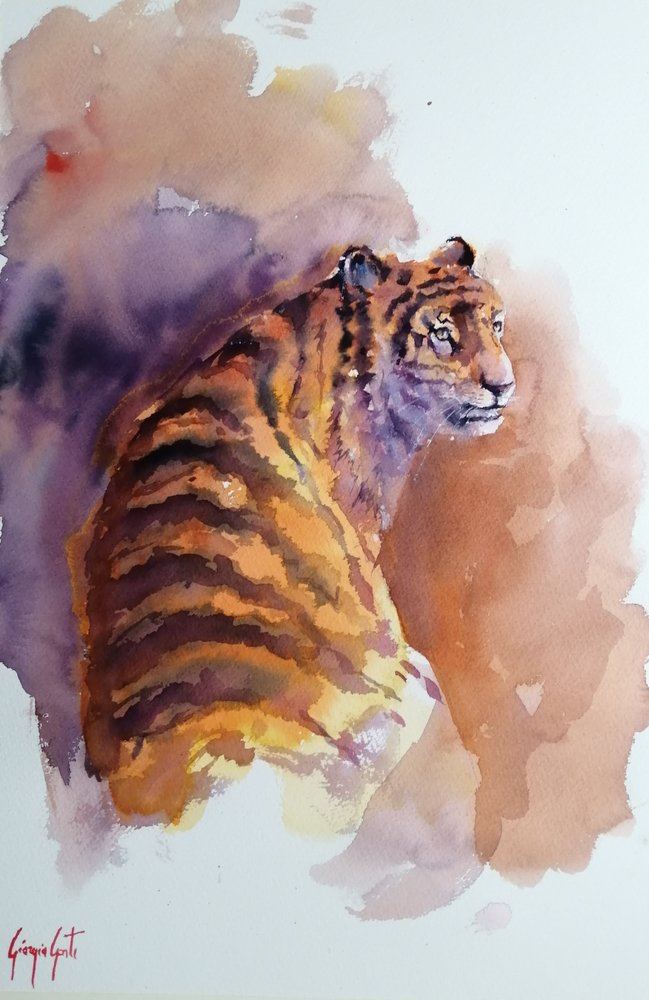 tigre 6 de Giorgio Gosti
