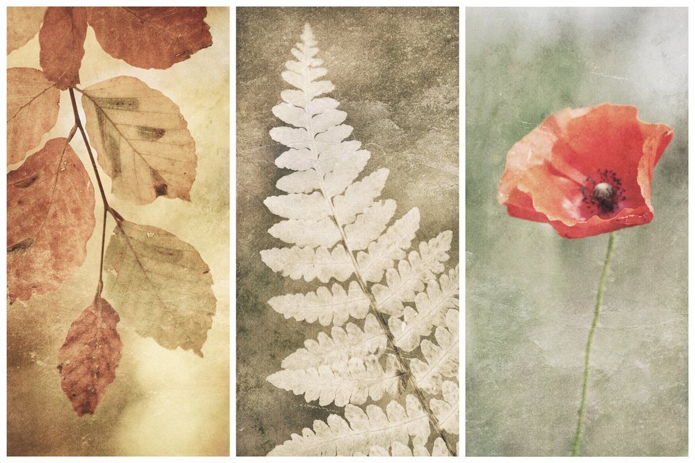 Trio Vintage Nature de Gustav Davidsson