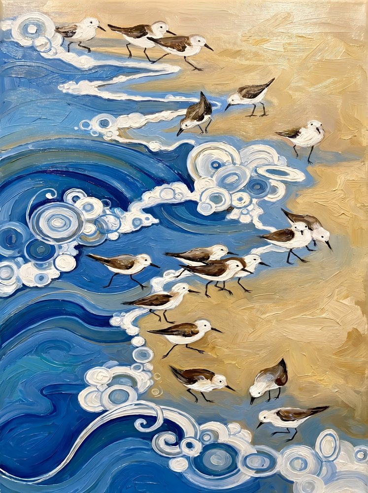 Aves Costeiras e Ondas de HUGO