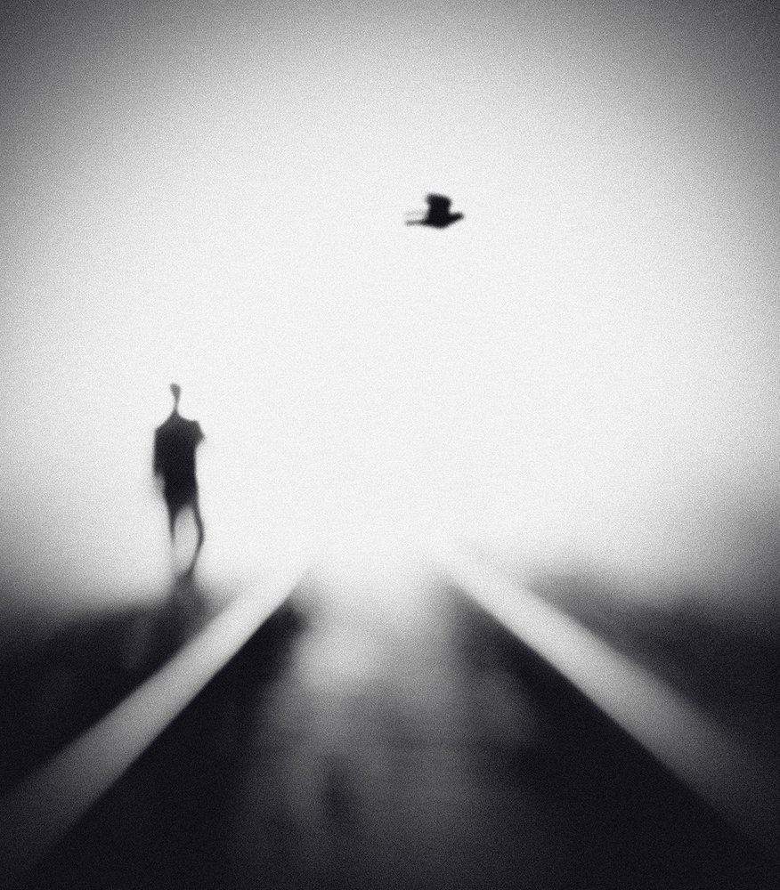 Homem Solitário, Pássaro Voador de Hengki Lee