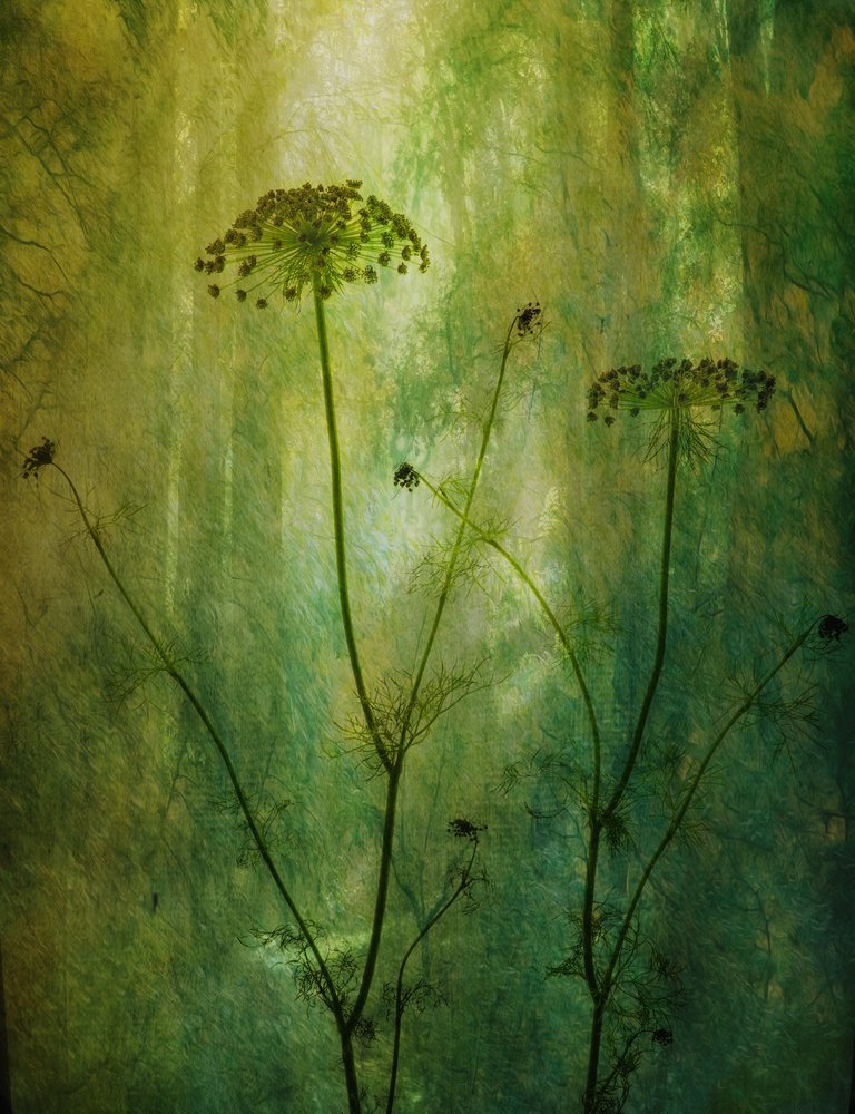 Endro verde tranquilo de Hilda van der Lee