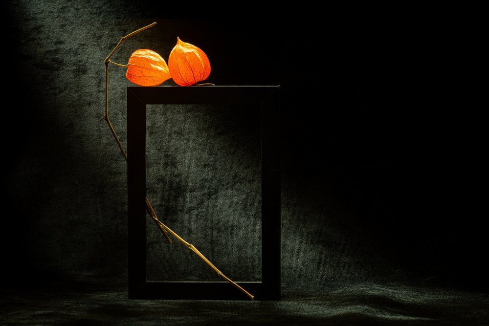 Moldura luminosa de fisális de Igor Kopcev