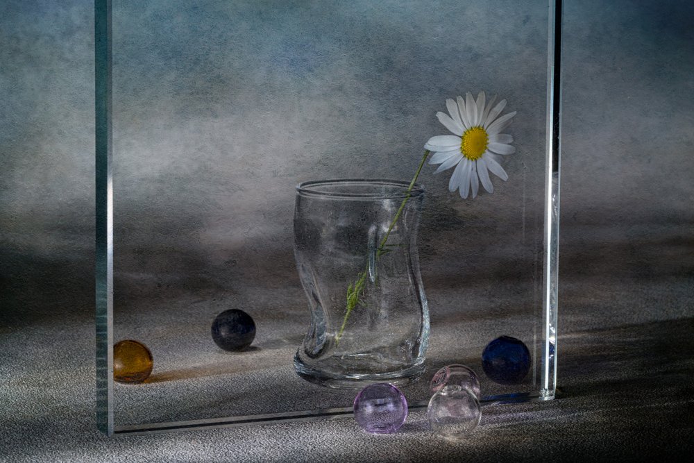 Reflexos tranquilos de margaridas de Igor Kopcev