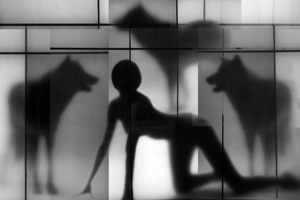 Sombras de Mulher e Lobo de Igor Shrayer