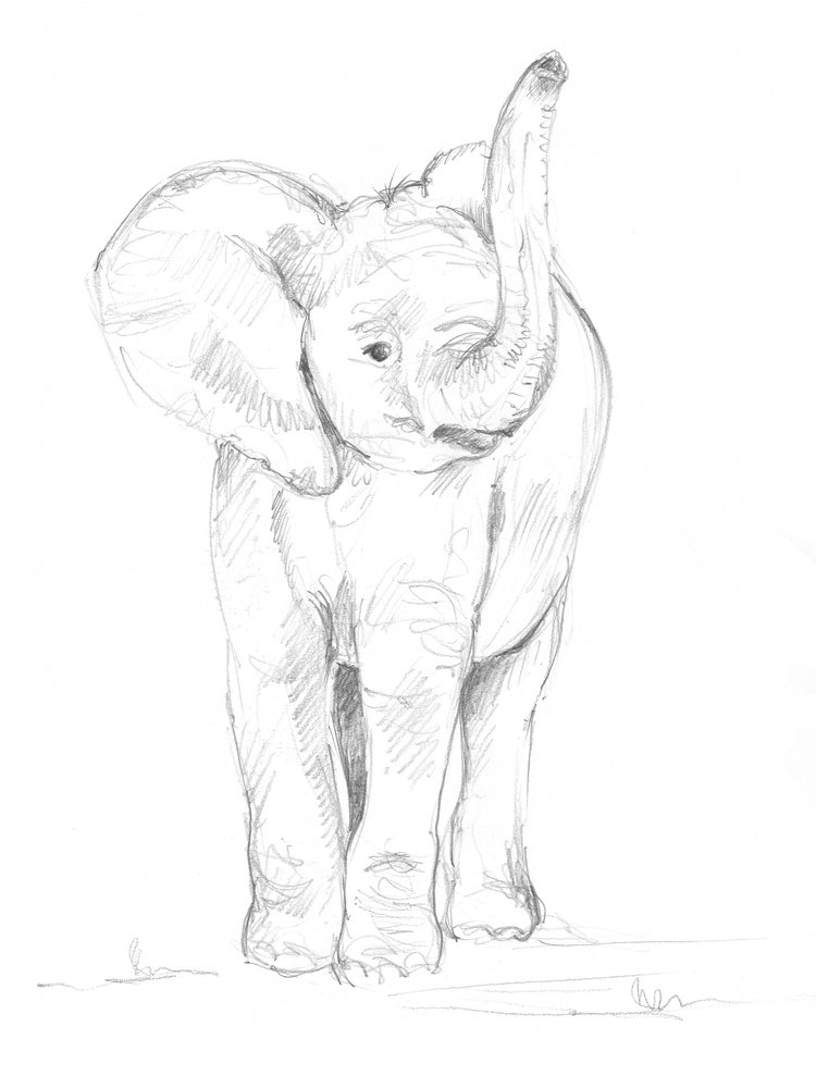 Bebé elefante 02 de Isabelle Brent