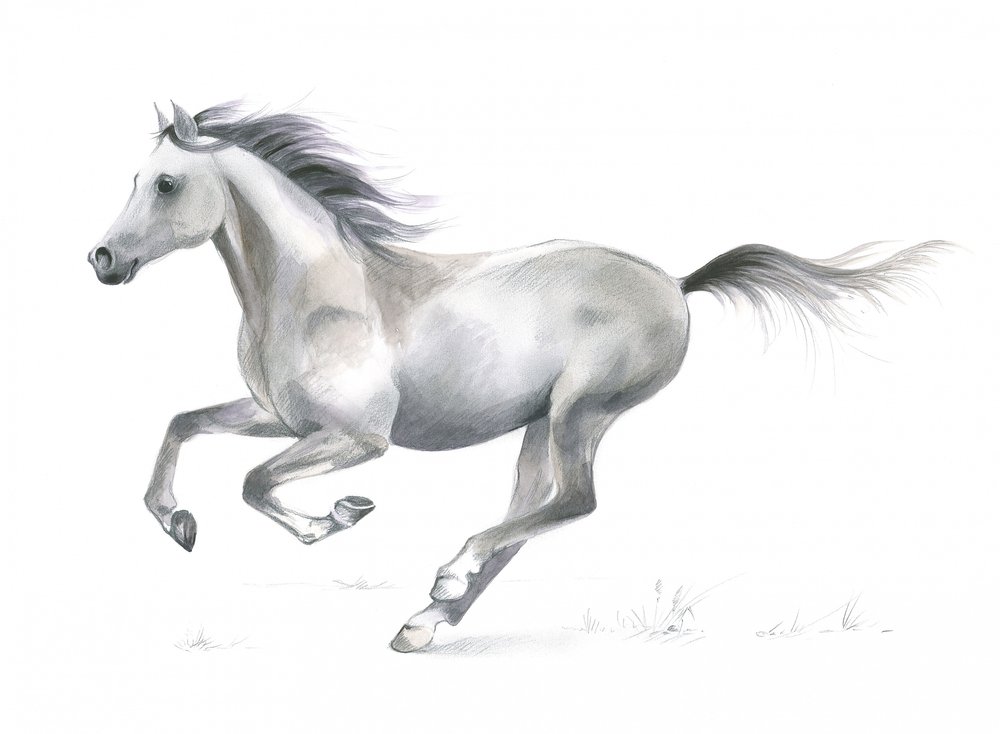 Graça dinâmica de um cavalo a galope de Isabelle Brent