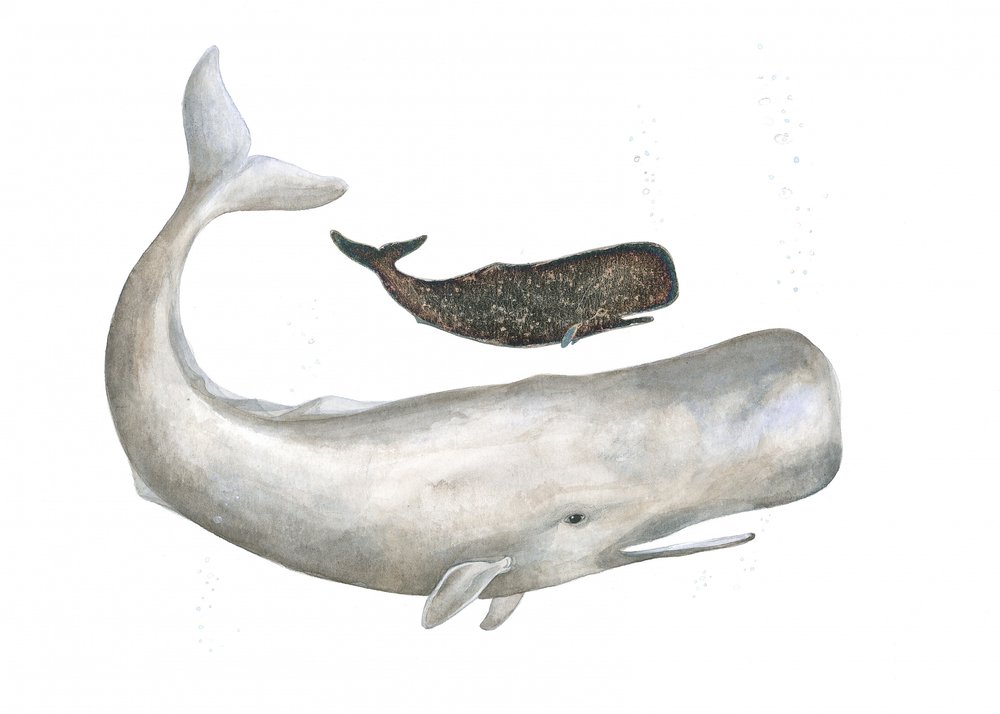 Gigantes gentis do oceano de Isabelle Brent