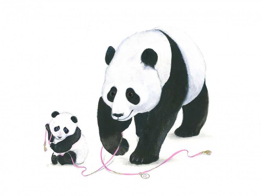 Hora de brincar do panda de Isabelle Brent