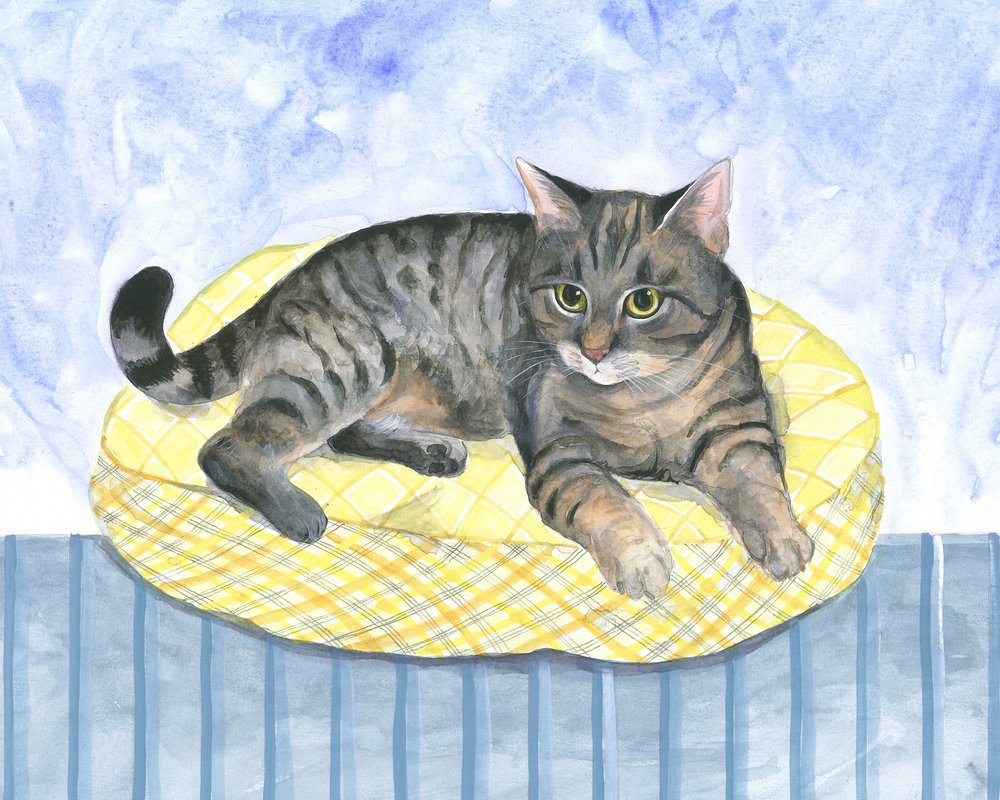 Gato-almofada de Isabelle Brent