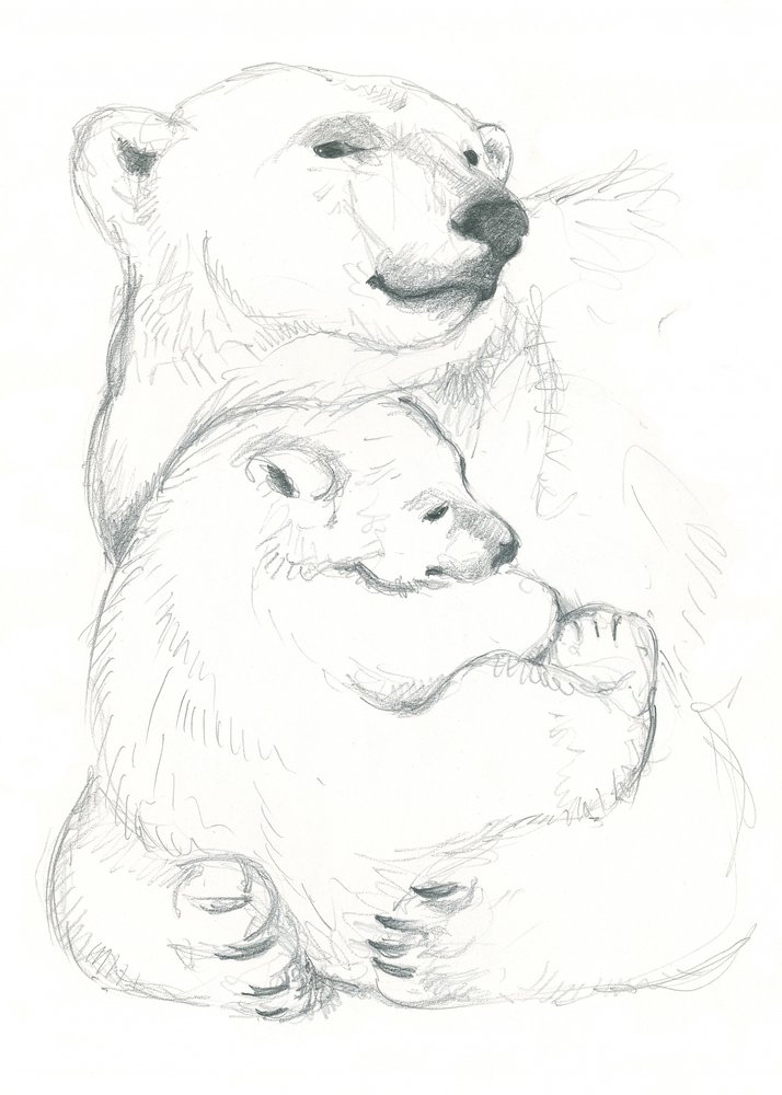 Desenho de urso-polar e cria de Isabelle Brent
