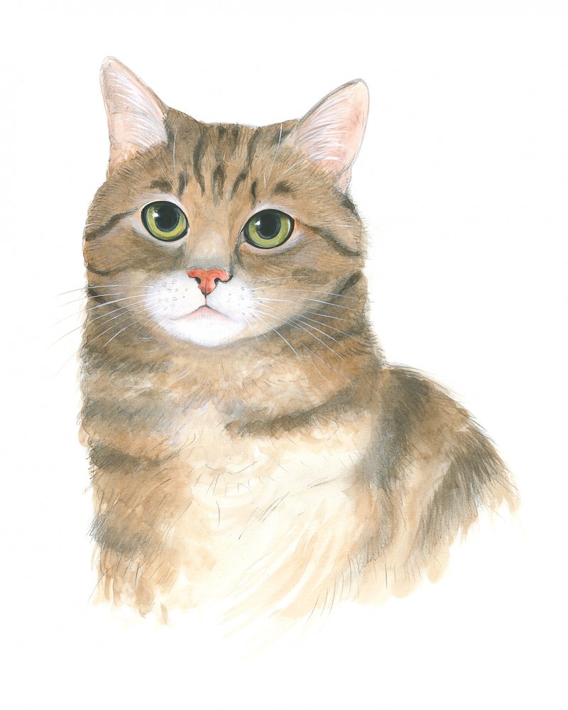 Gatinho Plato de Isabelle Brent
