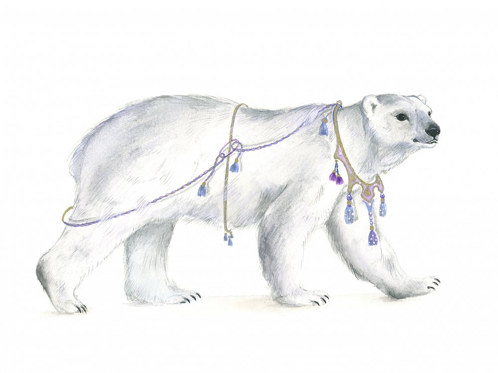 Majestade polar régia de Isabelle Brent