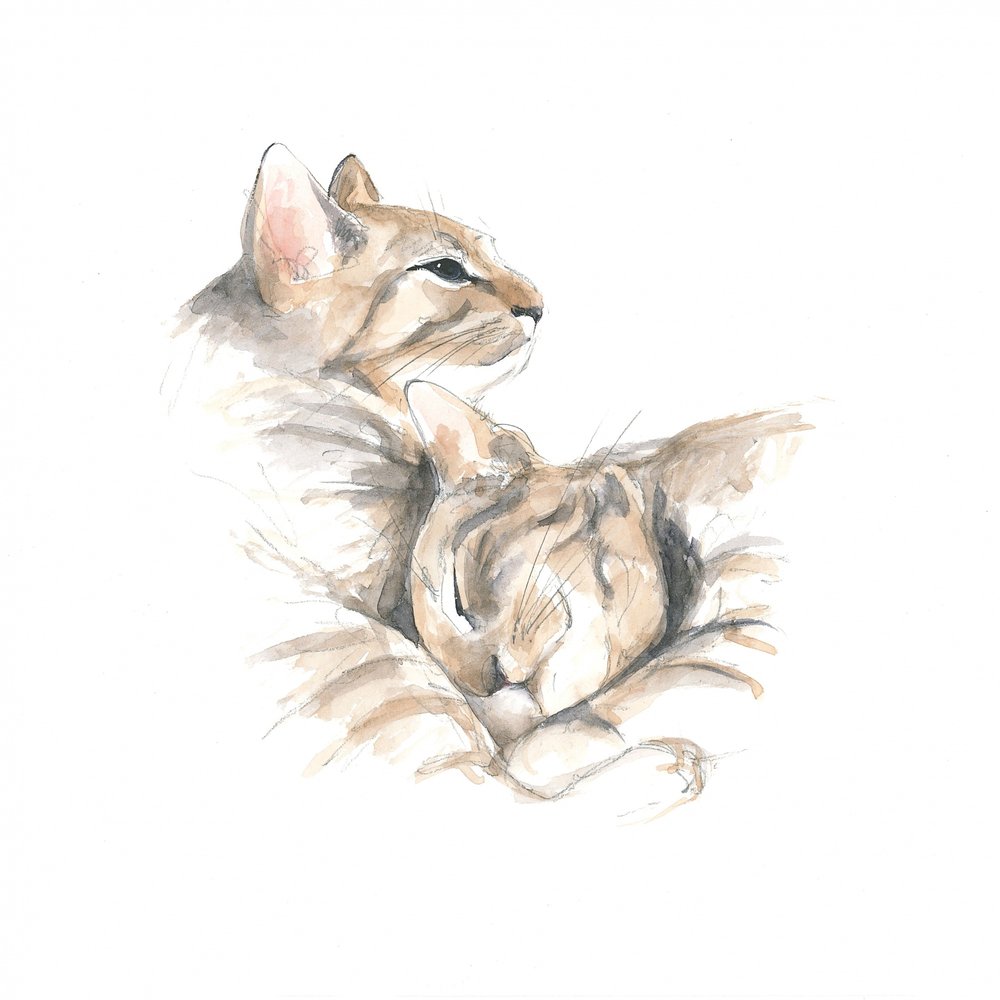 Gatos relaxados de Isabelle Brent