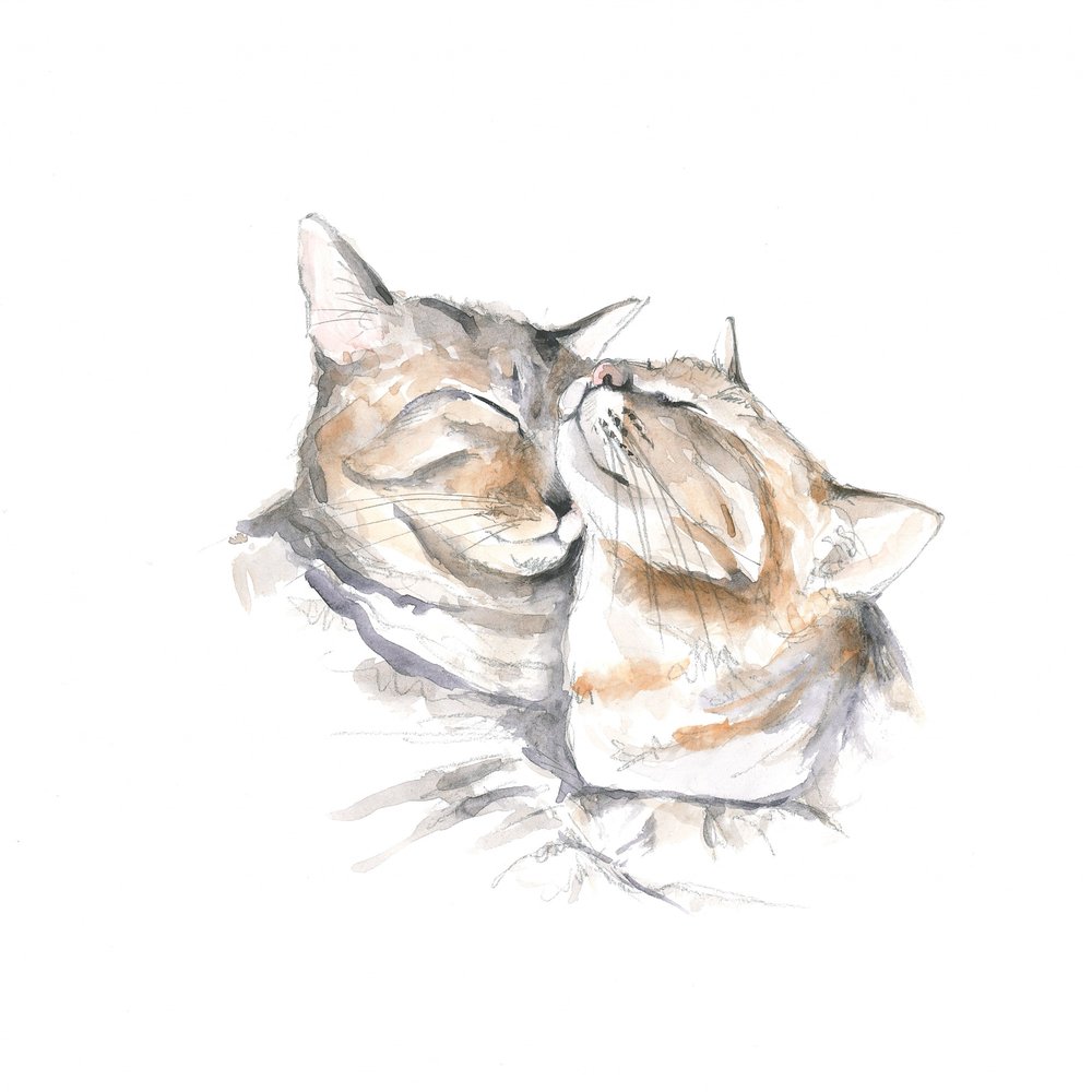 Gatos a dormir docemente de Isabelle Brent
