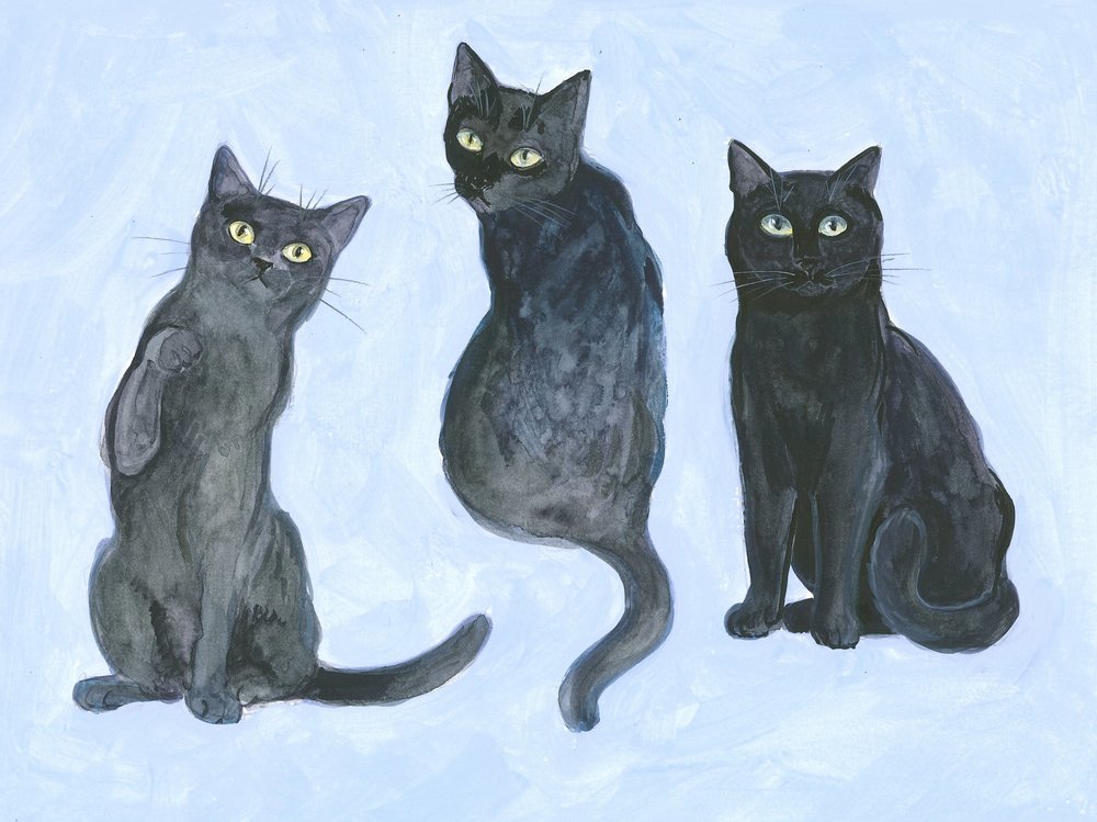Estudo de três gatos de Isabelle Brent