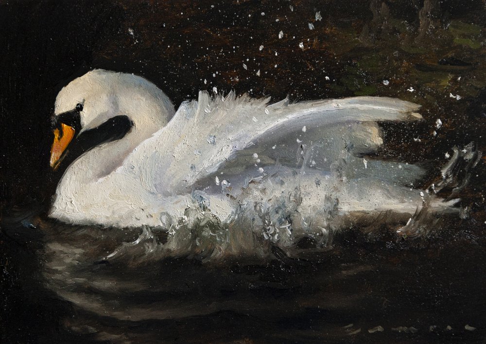 O Cisne Dançante de James Zamora