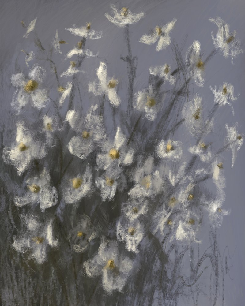 Flores brancas de sonho de James Zamora