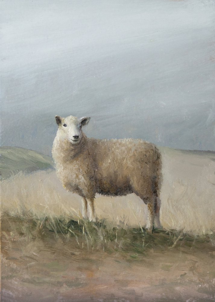 Ovelhas de pastoreio de James Zamora