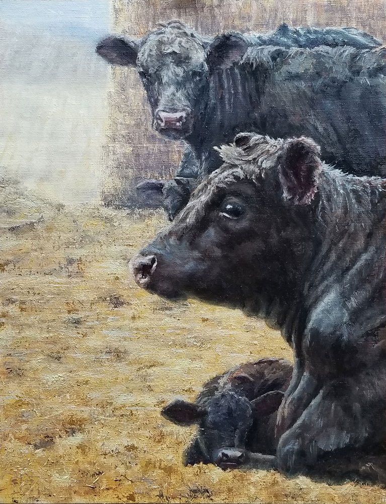Família Black Cattle de Jan Clizer