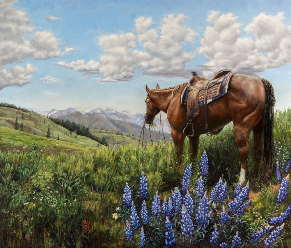 Cavalo num pasto de montanha de Jan Clizer