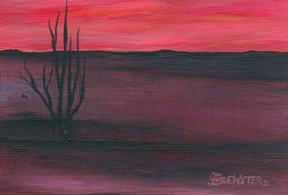 Crepúsculo Rosa no Deserto de Janine Brewster