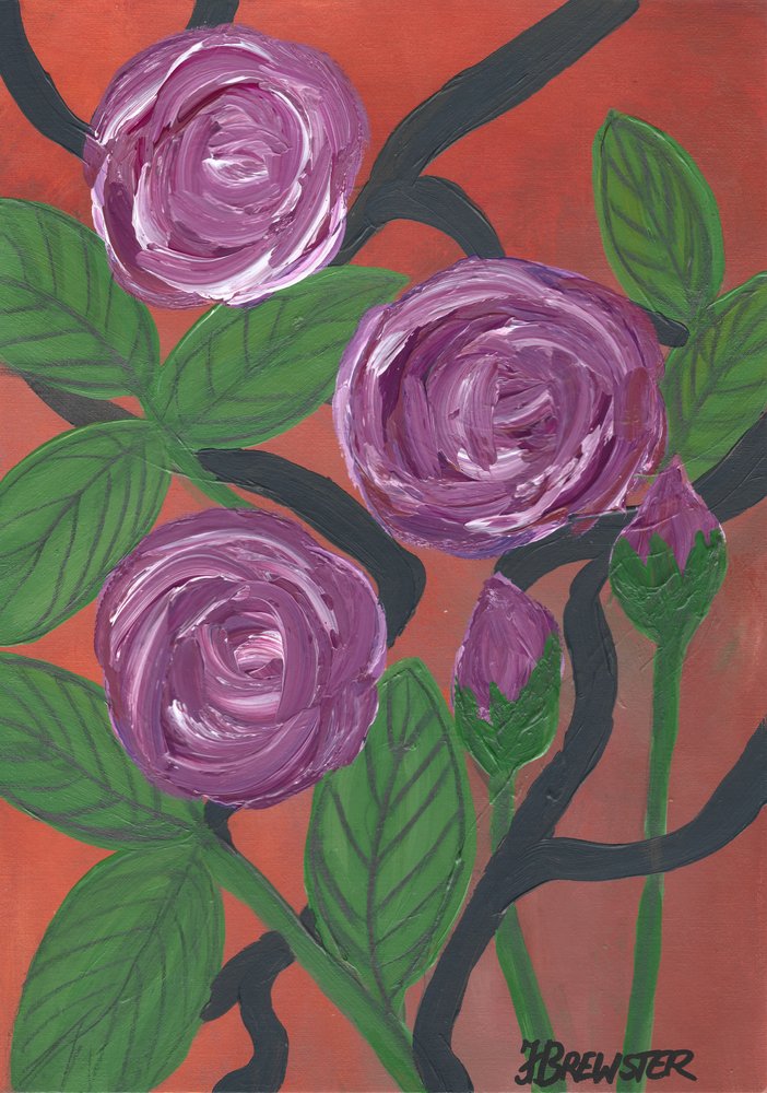 As rosas roxas desabrocham de Janine Brewster
