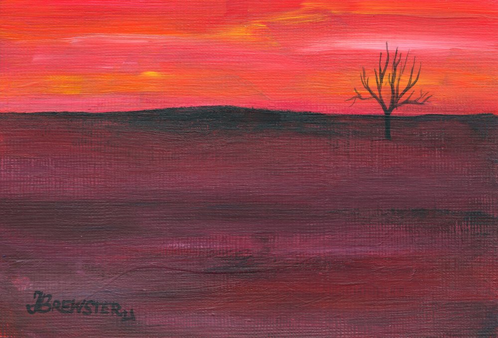 Árvore Solitária ao Pôr do Sol de Janine Brewster