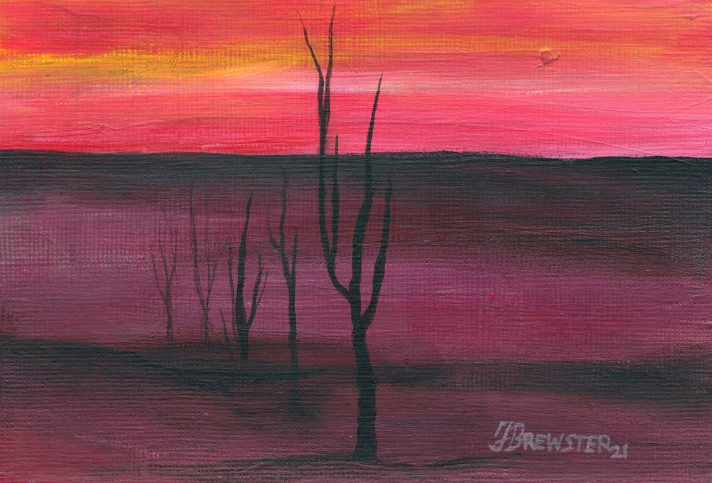 Pôr-do-sol vibrante no deserto de Janine Brewster