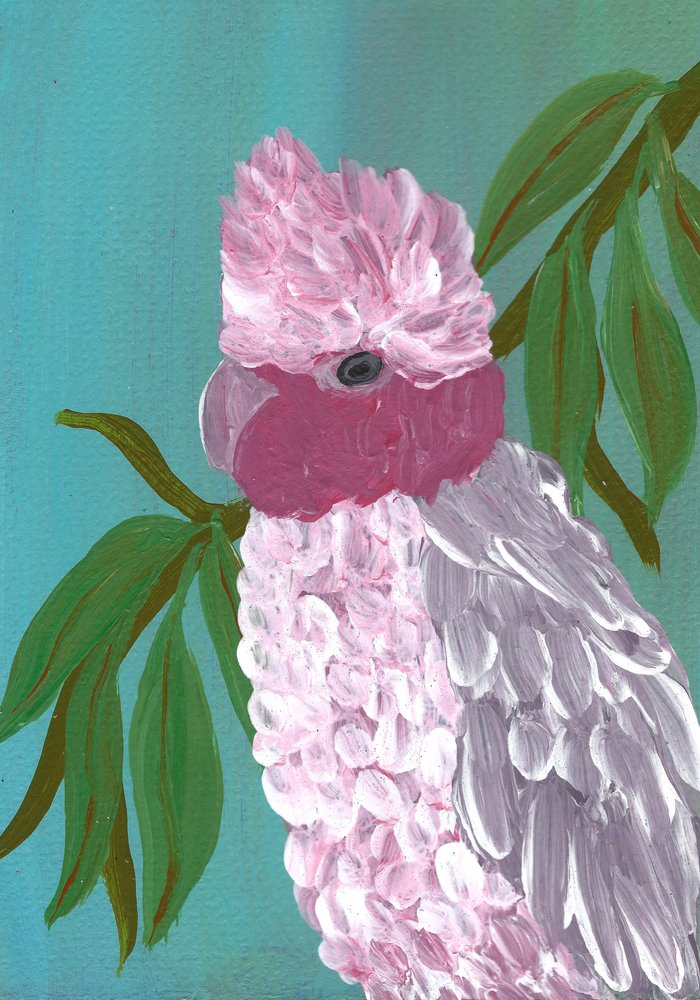 Cacatua Rosa Vibrante de Janine Brewster